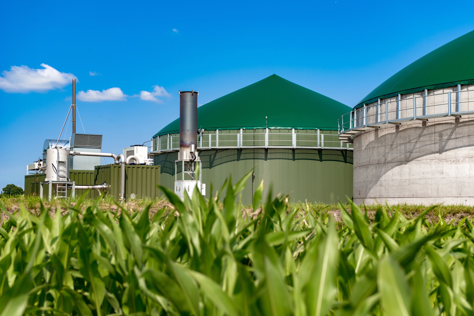 BIOGAS & BIOENERGIE