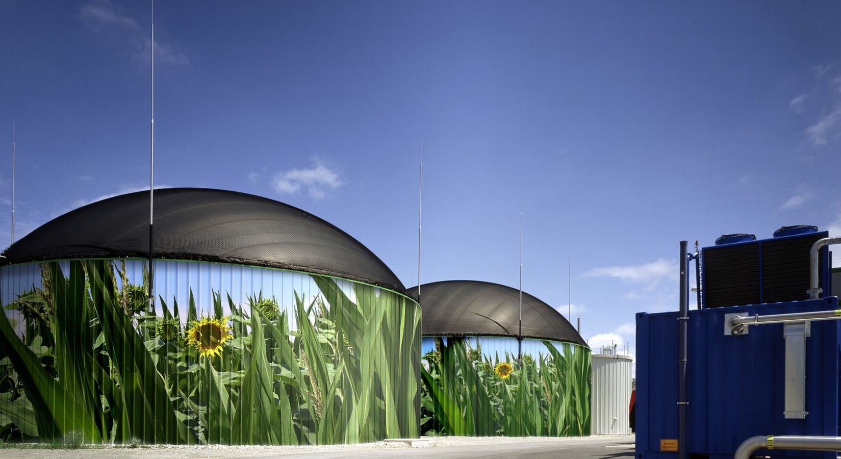 Biogas & Bioenergie